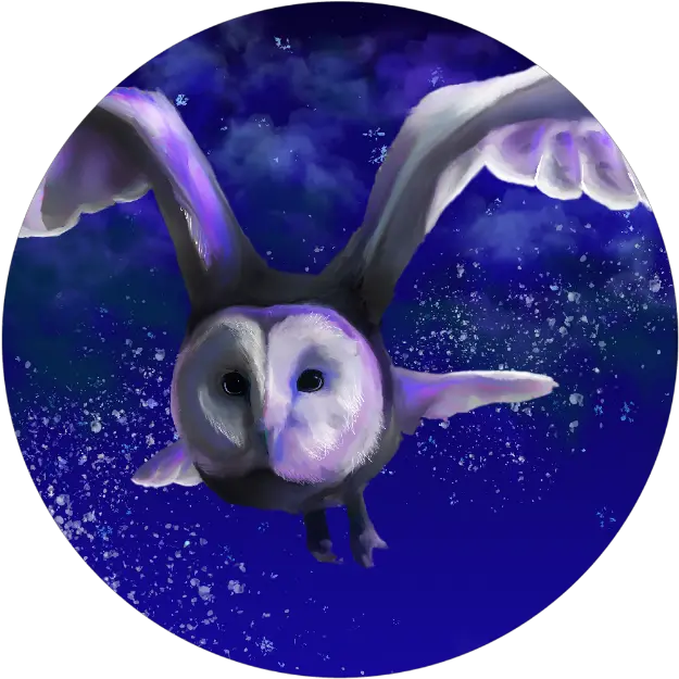 Popsockets Official Owl Png Barn Owl Icon