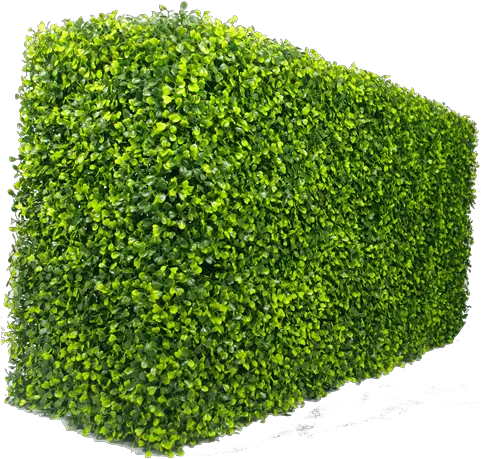 Box Hedge Png 2 Image Boxwood Hedge Png Hedge Png