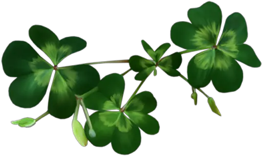 Free Clipart Images Shamrock Transparent Background Shamrock Png Four Leaf Clover Transparent Background