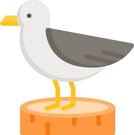 Free Icon European Herring Gull Png Seagull Icon