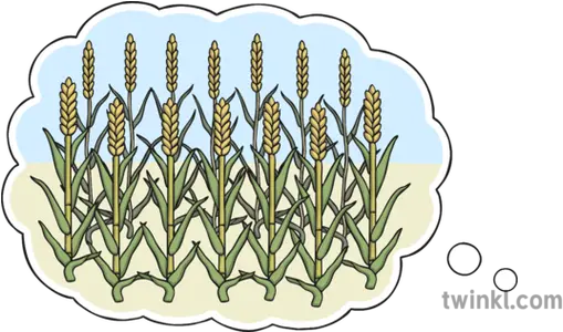 Dream Of Seven Thin Corn Stalks And Fat 1 Pharaoh Dream Png Corn Stalk Png