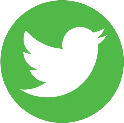 Superior Mobile Insurance Solutions Twitter Logo Png Hd Download Leaf Bird Icon