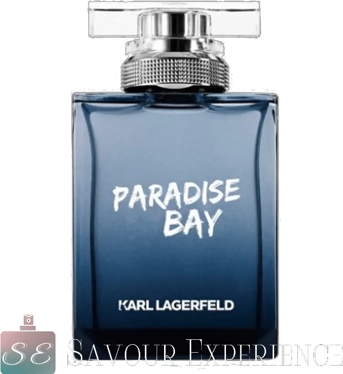 Karl Lagerfeld Paradise Bay For Men Dolce Gabbana Png Karl Lagerfeld Icon