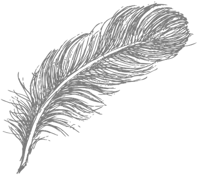 Historical Fiction Transparent Feather Drawing Black And White Png Black Feather Png