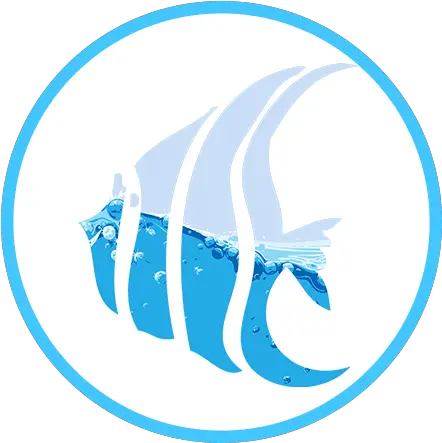 Chile And Patagonia Fish Png Patagonia Fish Logo