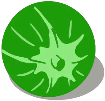Green Tomato Vegetable Isometric Dot Png Tomato Icon Vector