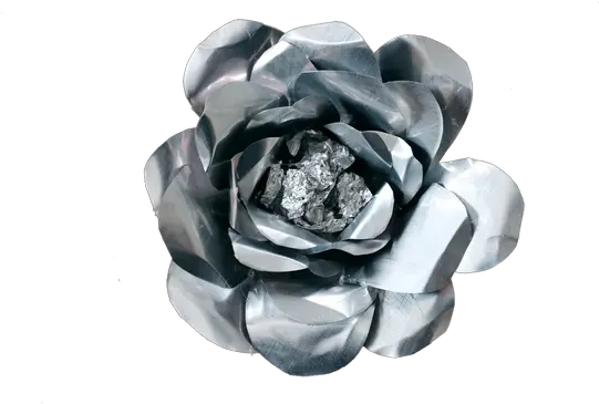 Amos The Transparent Transparent Silver Flower Png Rose Transparent