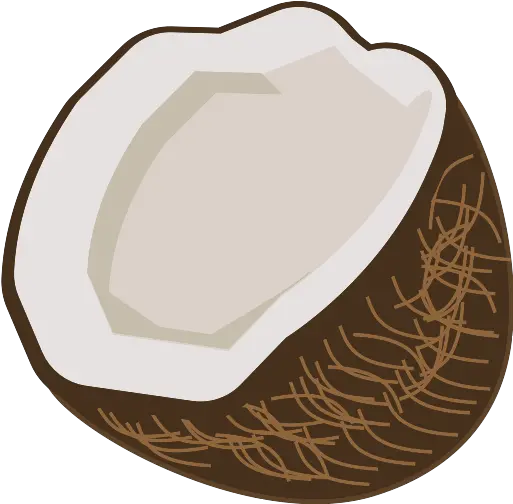 Coconut 02 Vector Svg Icon Png Repo Free Png Icons Fresh Coconut Icon