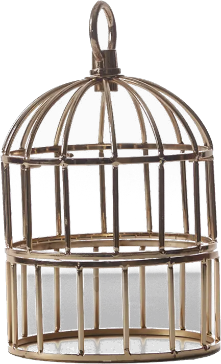 Cage Png Hd Wallpaper