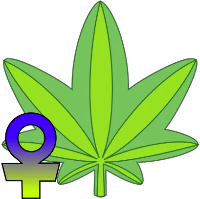 Feminized Cannabis Seeds Hemp Png Usps Icon