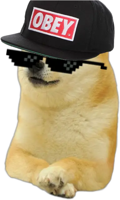 Pet Simulator Tynker Doge Meme Template Png Obey Hat Transparent