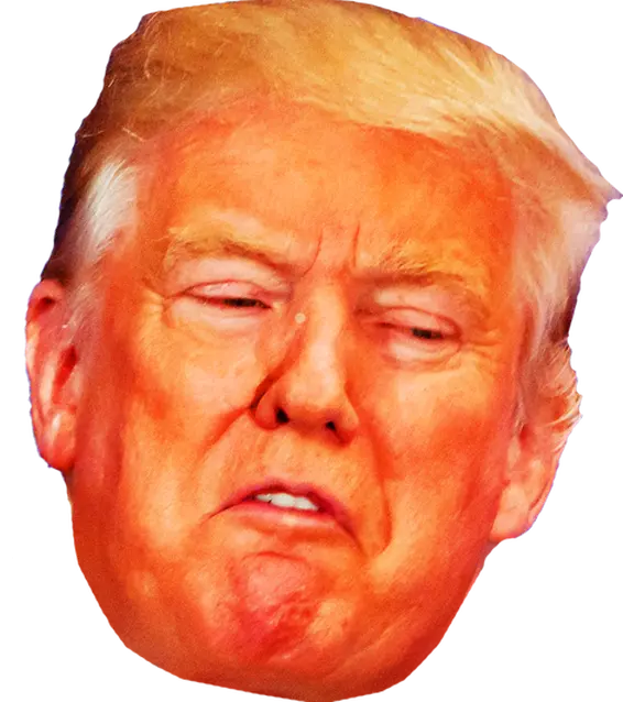 Trump Face Png Angry Not Happy Transparent Donald Trump Art Png Face Png