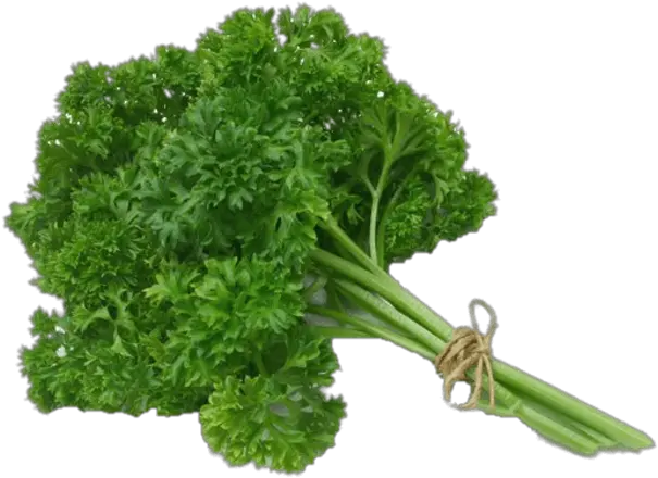 Herb Png Images Parsley Png Herb Png