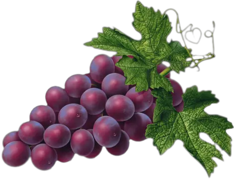 Red Grape Png Picture Red Grapes Clipart Grape Png