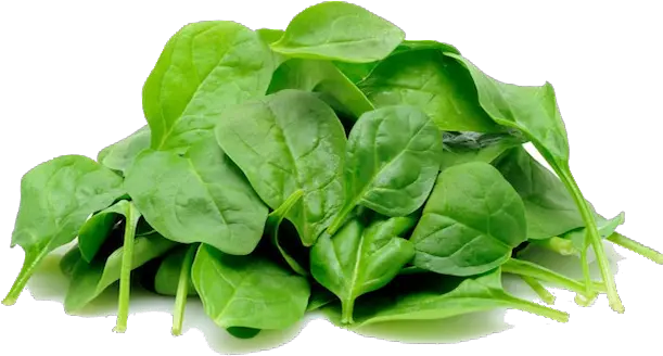 Spinach Png 1 Image Baby Spinach Spinach Png