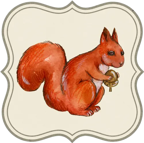 Graphic Design Watercolor Png Squirrel Squirrel Squirrel Transparent Background