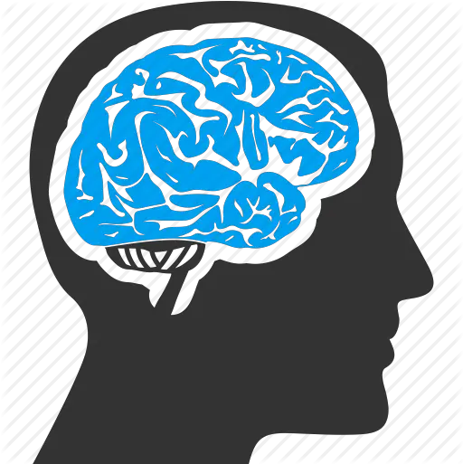 Human Organ Idea Memory Mind Think Icon Head Human Brain Png Human Brain Png