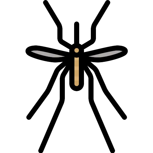 Louis Taylor Ufc Fighter Shadow Man Png Person Shadow Png