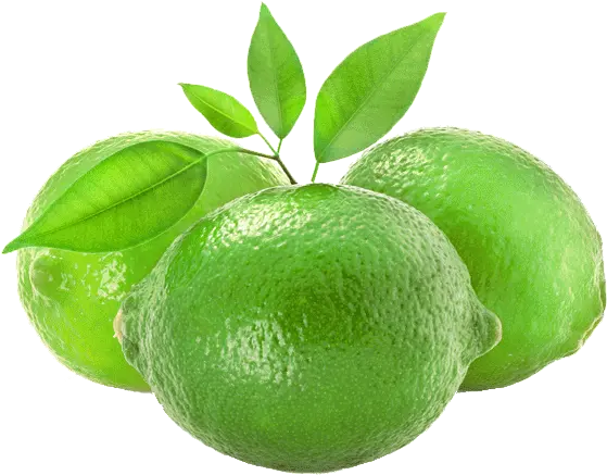Pemberton Limes Lime Png Lime Png