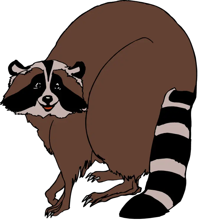 Raccoon Clipart Raccoon Clip Art Png Download Full Raccoon Clipart Png Raccoon Transparent