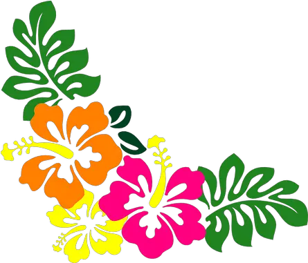 Luaunight Wallstadiumspeedway Hibiscus Clip Art Png Hibiscus Png