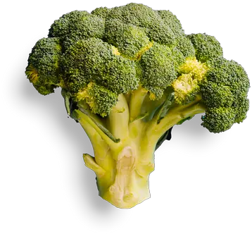 Pure Kitchen Elgin Broccoli Png Broccoli Transparent