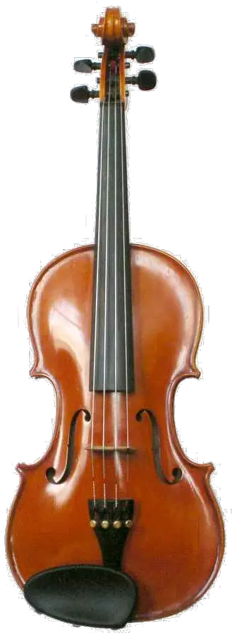 Rentals U2014 Inter City Violin Studios Anatomy Of A Violin Png Violin Png