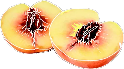 Peach Png Transparent Image Arts Fruit Peach Png