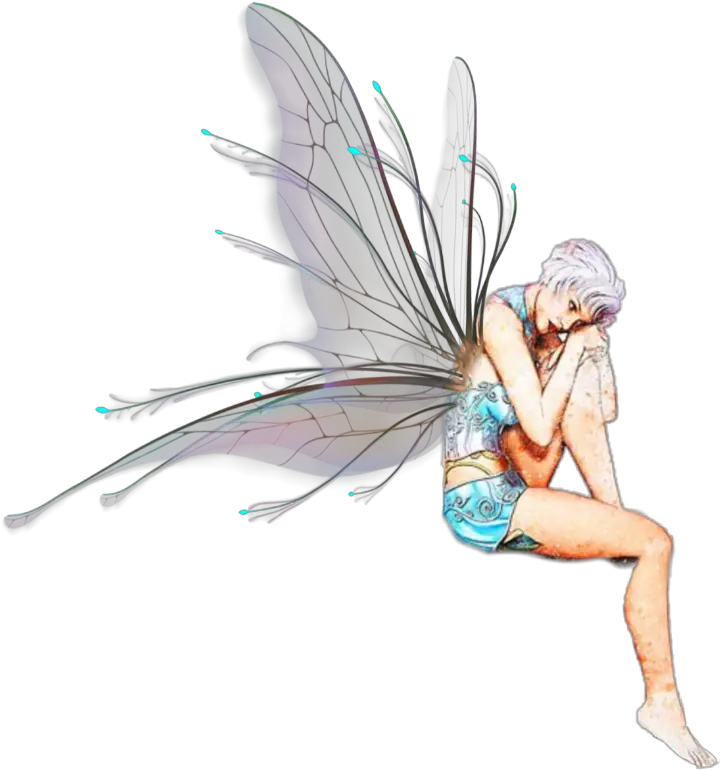 Fairy Fairies Wings Png Fairy Wings Png