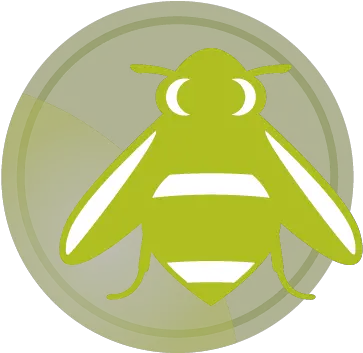 Iconography Dayton Childrenu0027s Fly Png Bumble Icon