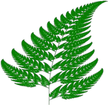 Fern Branch Transparent Png Ribbon Png Fern Png