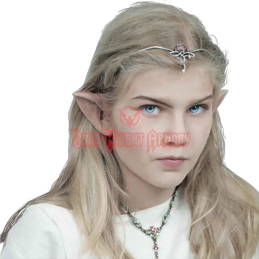 Epic Effect Small Elven Ears Prosthetic Elf Ears Png Elf Ears Png