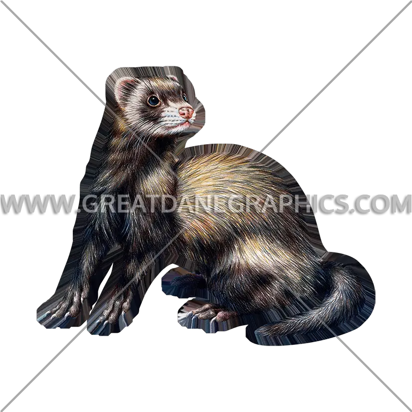 Ferret Production Ready Artwork For T Shirt Printing Sea Otter Png Ferret Png