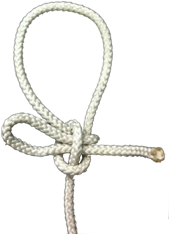 Download Hd Kalmyk Bowline Knot Png Rope Knot Png