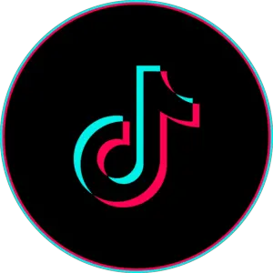 Layout Tiktok Png