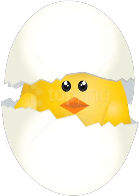 Free Png Download Easter Chicken Easter Chieken Png Easter Background Png