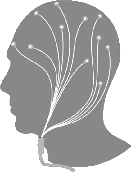 Eeg U0026 Ecg Hair Design Png Face Silhouette Icon