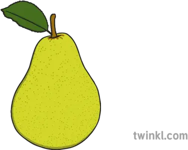 Pear Illustration Twinkl Cempedak Png Pear Png