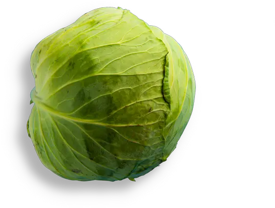 Noce Iceburg Lettuce Png Cabbage Transparent