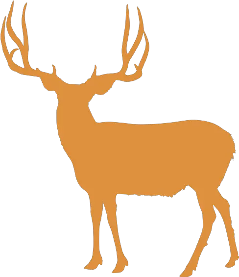 Elk White Tailed Deer Reindeer Utah Deer Antler Png Silhouette Deer Hooves Clipart Deer Antler Png