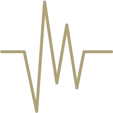 Patient Management Software Privis Health Vertical Png Organ Icon