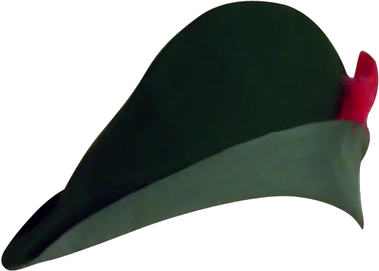 Robin Hood Hat Png Picture Bird Robin Hood Png