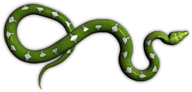 Index Of Mappingobjectsanimalssnakes Transparent Green Snake Png Snakes Png