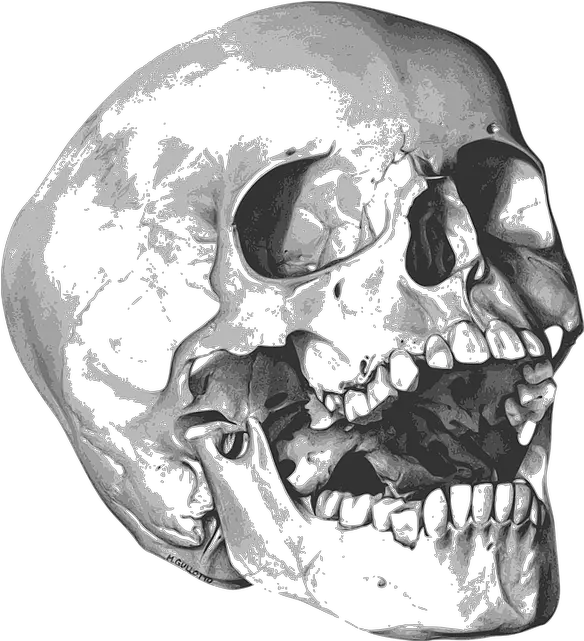 Skull Bones Png Photo Skull Bones Png Skull And Bones Png