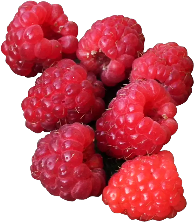 Raspberry Png Image Aesthetic Raspberry Png Raspberry Png