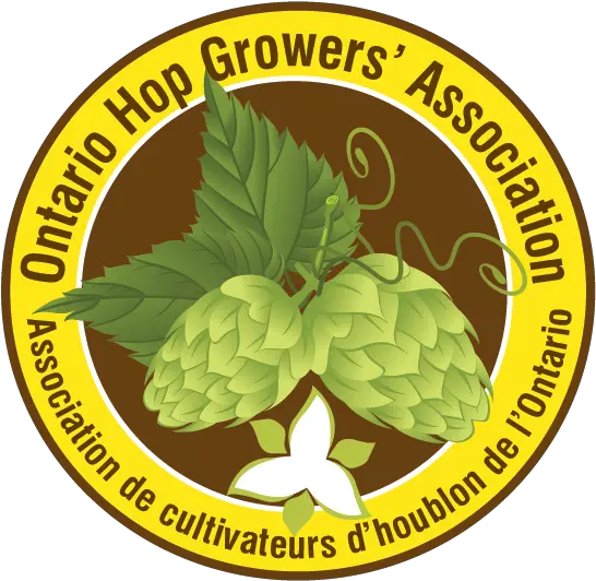 Teaching Brewery Hops Spondylitis Association Of America Png Hops Png