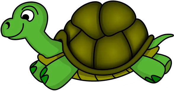 Images Of Tortoise Clipart Clipart Image Of Turtle Png Tortoise Png