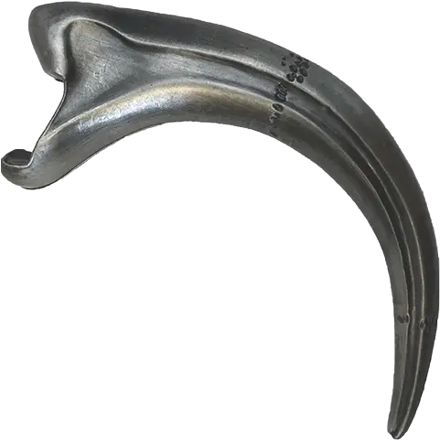 Raptor Claw Png Picture Fossil Raptor Claw Claw Png