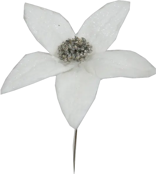 Download White Glitter Poinsettia Pick Artificial Flower Png Poinsettia Png