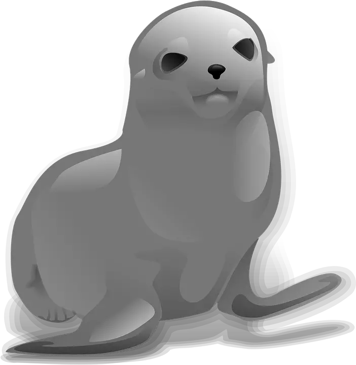 Download Seal Animal Png Seal Clip Art Animal Clipart Png